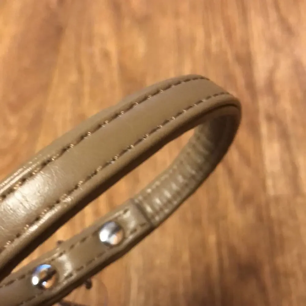 Martha Stewart Tan and Silver Leather Buckle Dog Collar Size 12